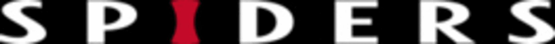 Spiders logo